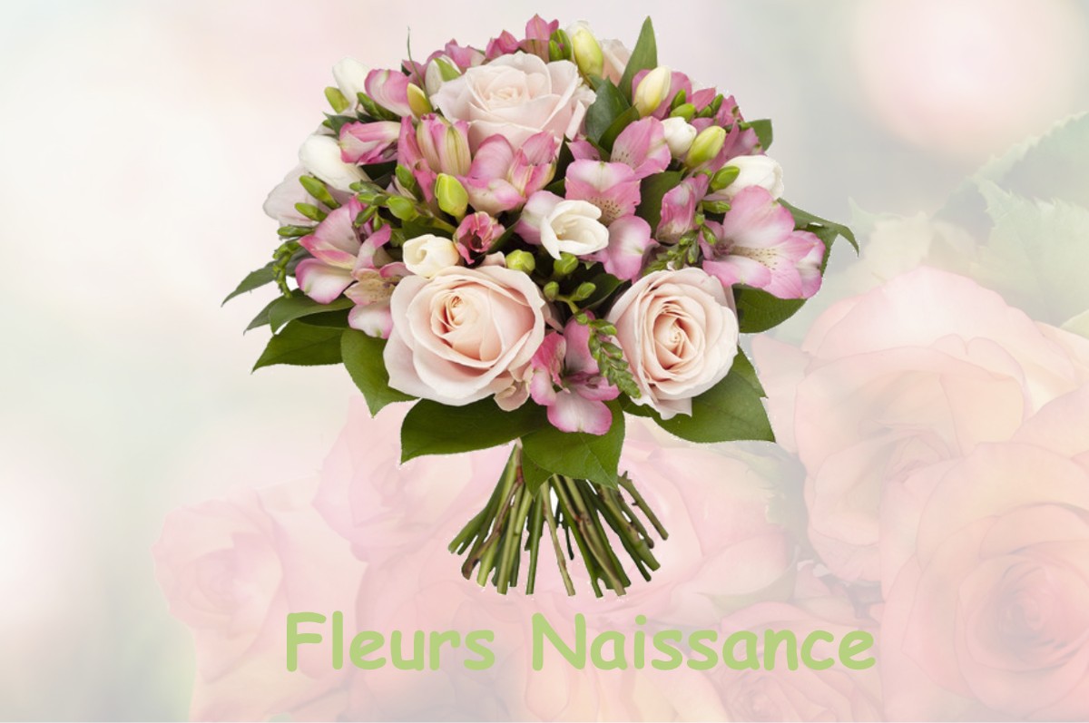 fleurs naissance TAXENNE