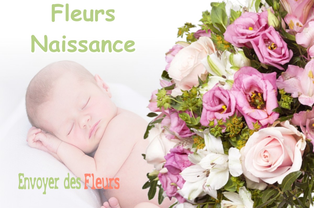 lIVRAISON FLEURS NAISSANCE à TAXENNE